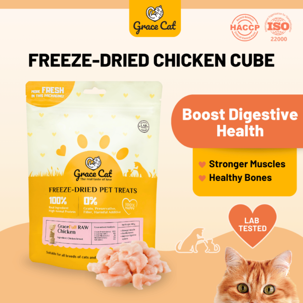 Freeze-Dried Chicken Cube
