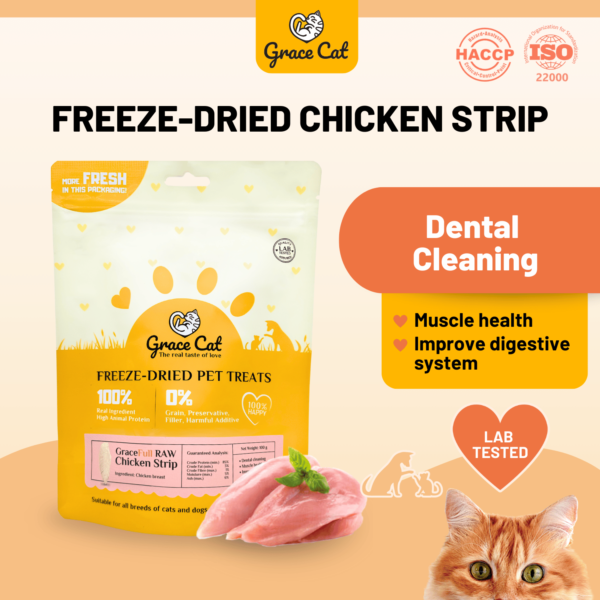 Freeze-Dried Chicken Strip
